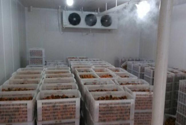 跟著安徽雪坊一起來(lái)了解下影響冷庫(kù)設(shè)備制冷效果的幾個(gè)因素吧！